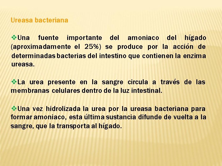 Ureasa bacteriana Una fuente importante del amoniaco del hígado (aproximadamente el 25%) se produce