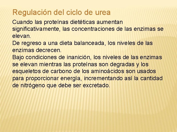 Regulación del ciclo de urea Cuando las proteínas dietéticas aumentan significativamente, las concentraciones de