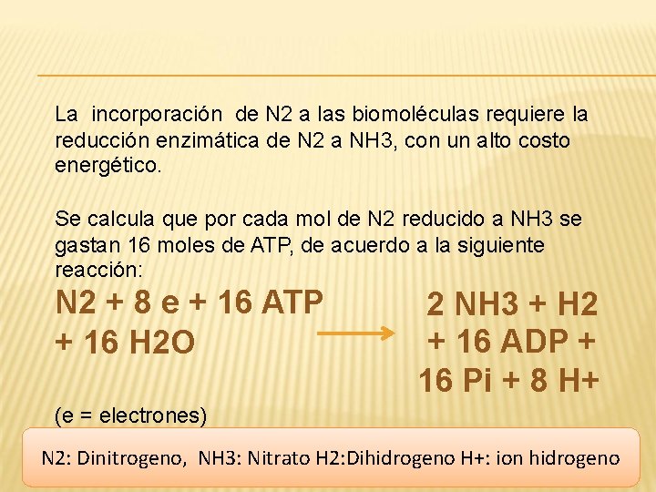 La incorporación de N 2 a las biomoléculas requiere la reducción enzimática de N