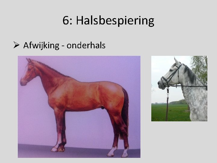 6: Halsbespiering Ø Afwijking - onderhals 