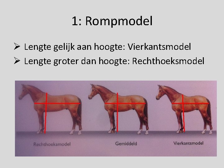 1: Rompmodel Ø Lengte gelijk aan hoogte: Vierkantsmodel Ø Lengte groter dan hoogte: Rechthoeksmodel