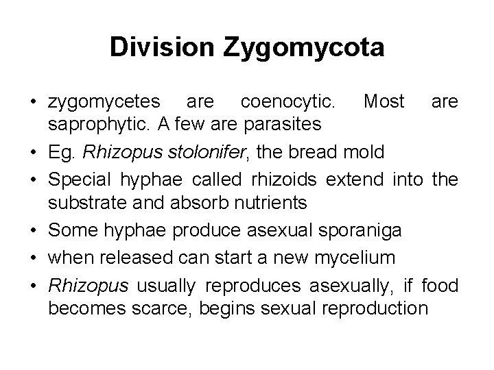 Division Zygomycota • zygomycetes are coenocytic. Most are saprophytic. A few are parasites •