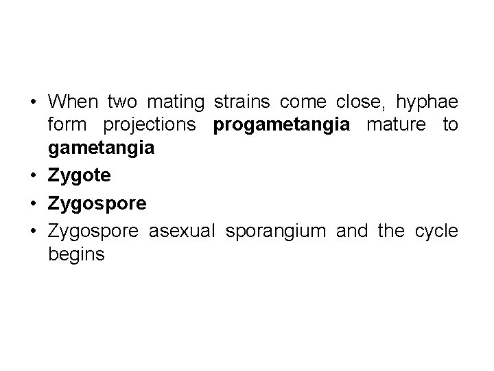  • When two mating strains come close, hyphae form projections progametangia mature to