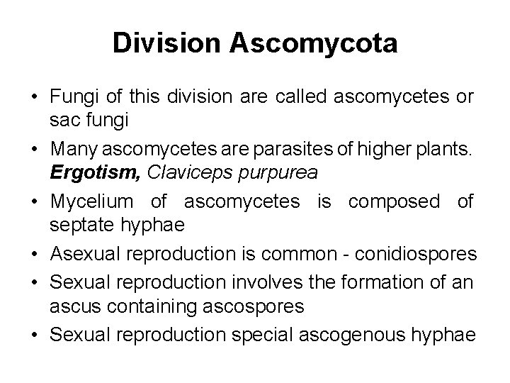 Division Ascomycota • Fungi of this division are called ascomycetes or sac fungi •