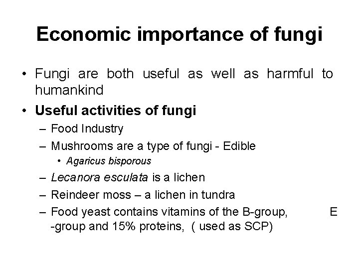Economic importance of fungi • Fungi are both useful as well as harmful to