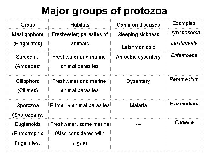 Major groups of protozoa Group Habitats Common diseases Examples Mastigophora Freshwater; parasites of Sleeping