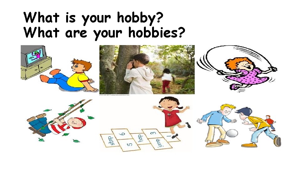 What is your hobby? What are your hobbies? 