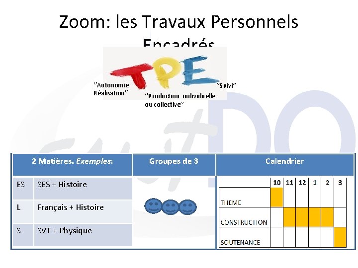 Zoom: les Travaux Personnels Encadrés ‘’Autonomie Réalisation’’ 2 Matières. Exemples: ES SES + Histoire