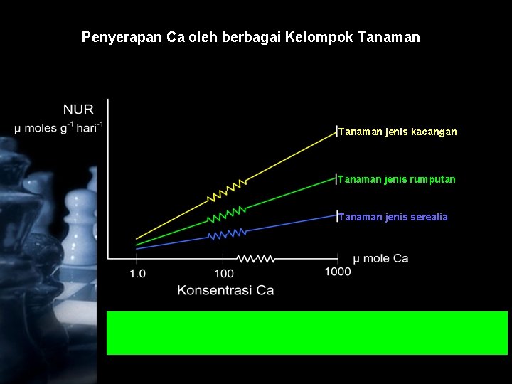 Penyerapan Ca oleh berbagai Kelompok Tanaman jenis kacangan Tanaman jenis rumputan Tanaman jenis serealia