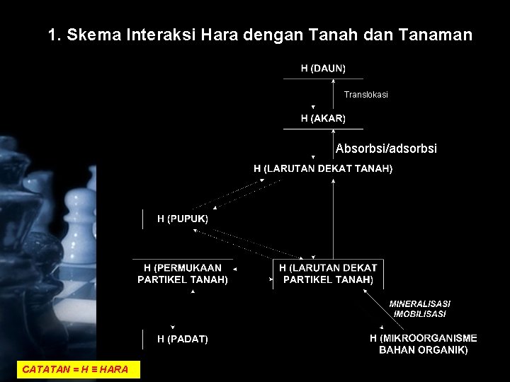 1. Skema Interaksi Hara dengan Tanah dan Tanaman Translokasi Absorbsi/adsorbsi CATATAN = H ≡