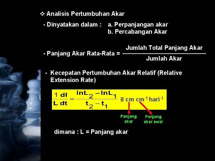 v Analisis Pertumbuhan Akar - Dinyatakan dalam : a. Perpanjangan akar b. Percabangan Akar