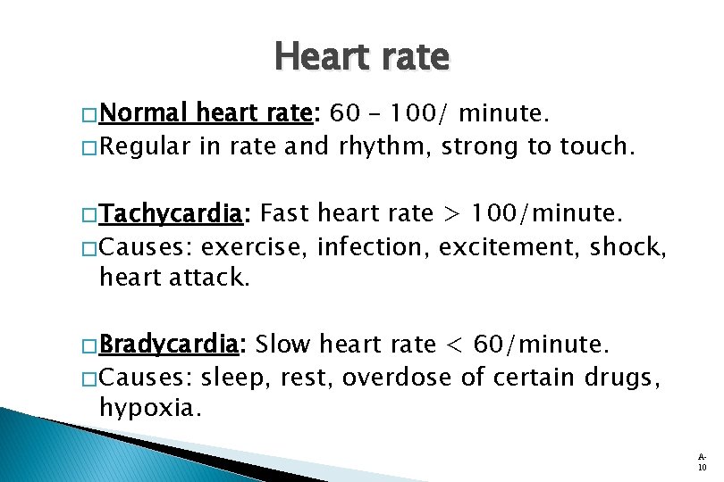 Heart rate � Normal heart rate: 60 – 100/ minute. � Regular in rate