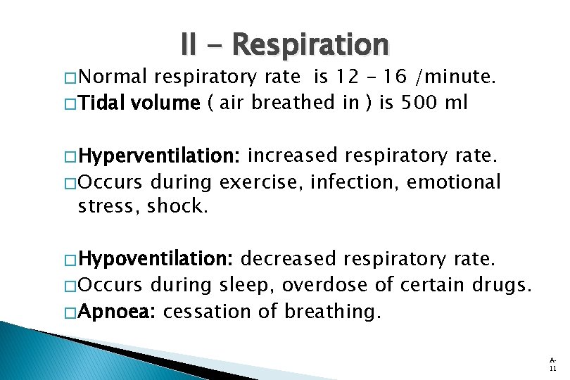 � Normal II - Respiration respiratory rate is 12 – 16 /minute. � Tidal