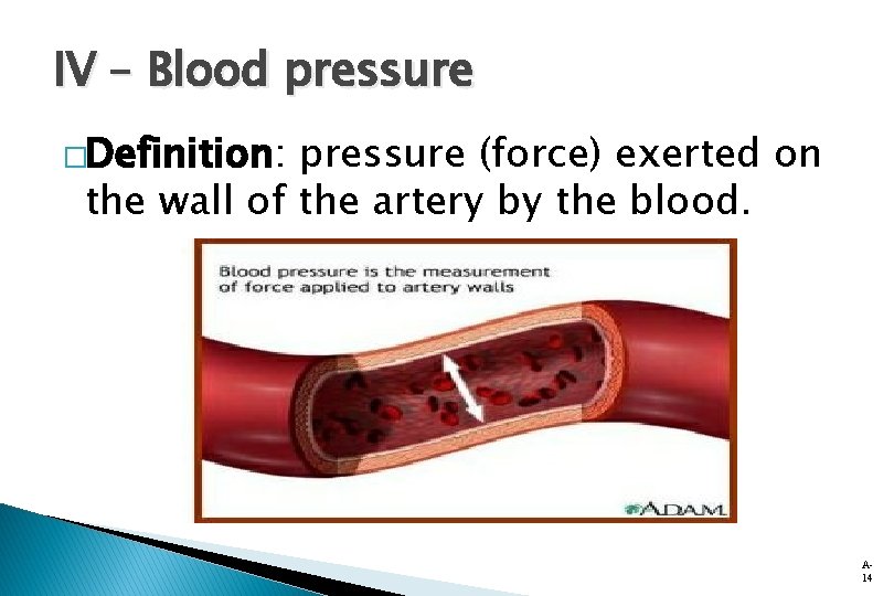 IV – Blood pressure �Definition: pressure (force) exerted on the wall of the artery