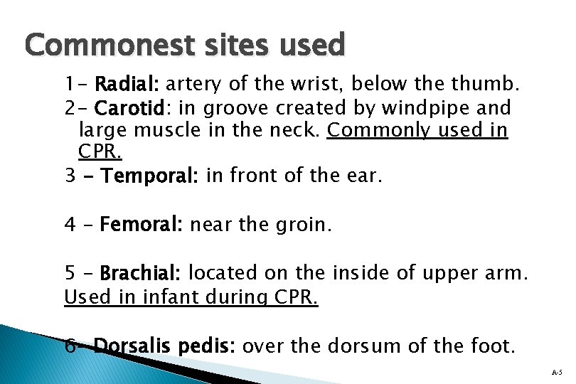 Commonest sites used 1 - Radial: artery of the wrist, below the thumb. 2