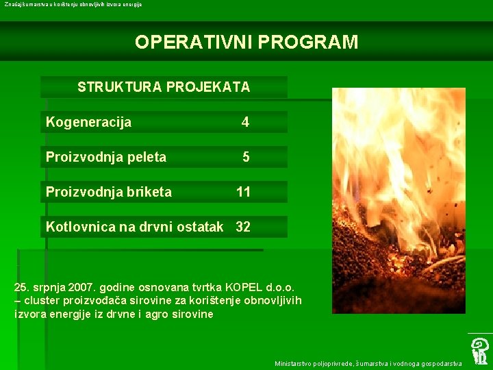 Značaj šumarstva u korištenju obnovljivih izvora energije OPERATIVNI PROGRAM STRUKTURA PROJEKATA Kogeneracija 4 Proizvodnja