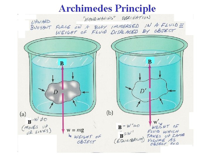 Sect 14 4 Buoyant Forces Archimedes Principle Experimental
