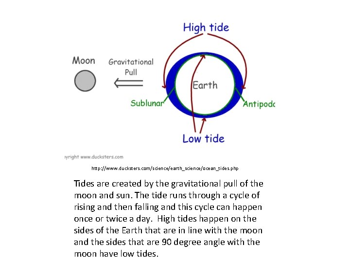 http: //www. ducksters. com/science/earth_science/ocean_tides. php Tides are created by the gravitational pull of the