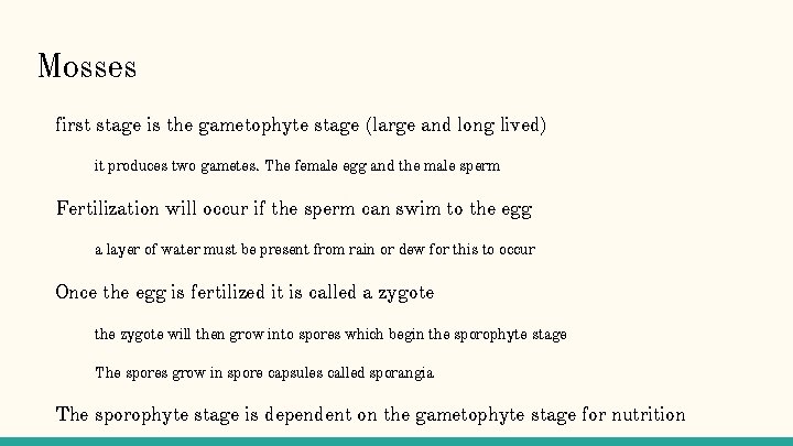 Mosses first stage is the gametophyte stage (large and long lived) it produces two