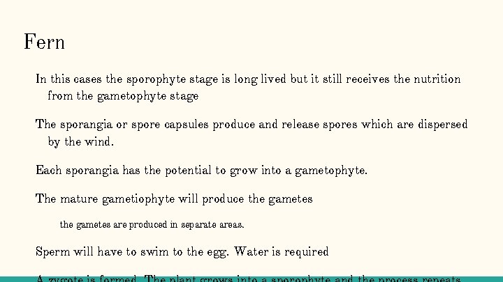 Fern In this cases the sporophyte stage is long lived but it still receives