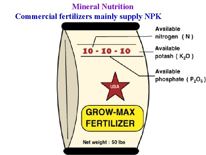 Mineral Nutrition Commercial fertilizers mainly supply NPK 