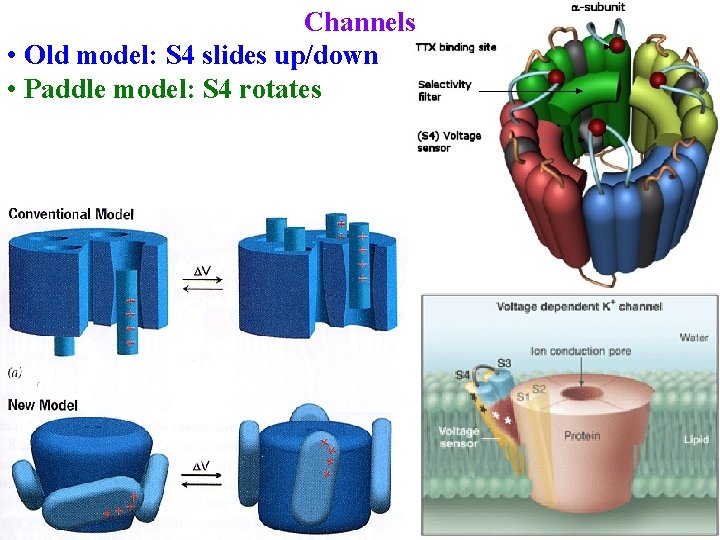 Channels • Old model: S 4 slides up/down • Paddle model: S 4 rotates