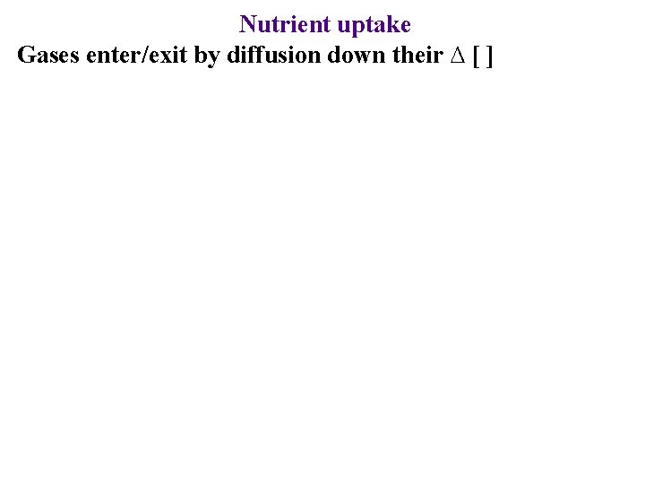 Nutrient uptake Gases enter/exit by diffusion down their ∆ [ ] 