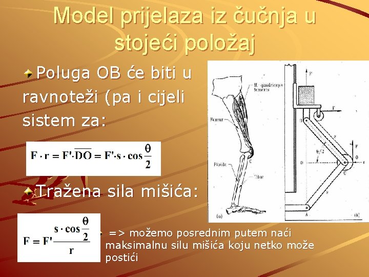 Model prijelaza iz čučnja u stojeći položaj Poluga OB će biti u ravnoteži (pa