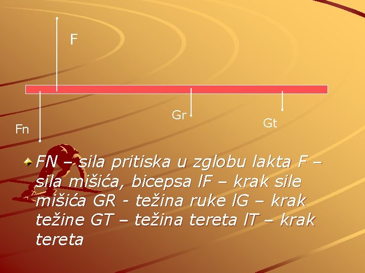 F Fn Gr Gt FN – sila pritiska u zglobu lakta F – sila