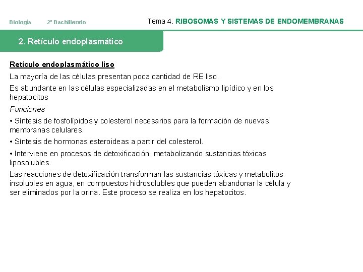 Biología 2º Bachillerato Tema 4. RIBOSOMAS Y SISTEMAS DE ENDOMEMBRANAS 2. Retículo endoplasmático liso