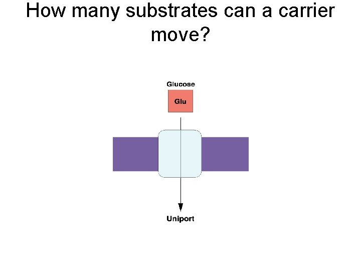 How many substrates can a carrier move? 