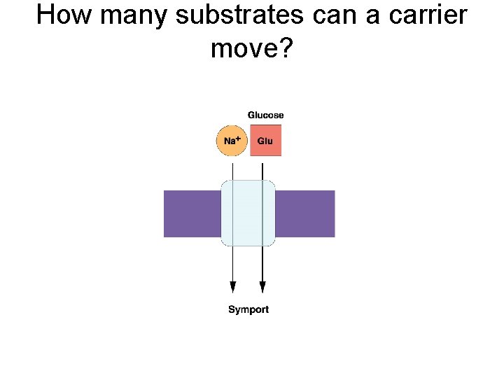 How many substrates can a carrier move? 