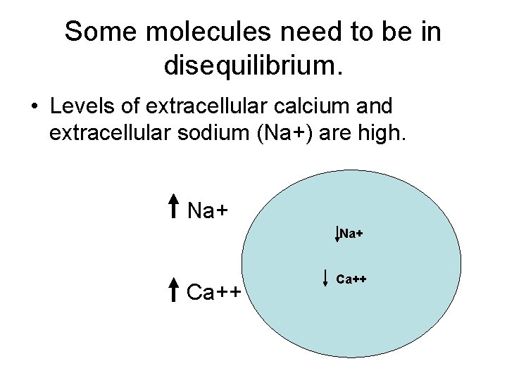 Some molecules need to be in disequilibrium. • Levels of extracellular calcium and extracellular
