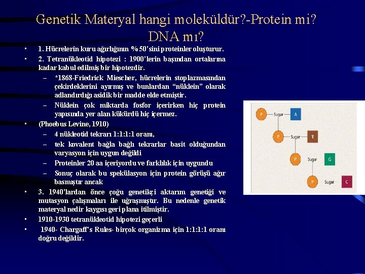 Genetik Materyal hangi moleküldür? -Protein mi? DNA mı? • • • 1. Hücrelerin kuru