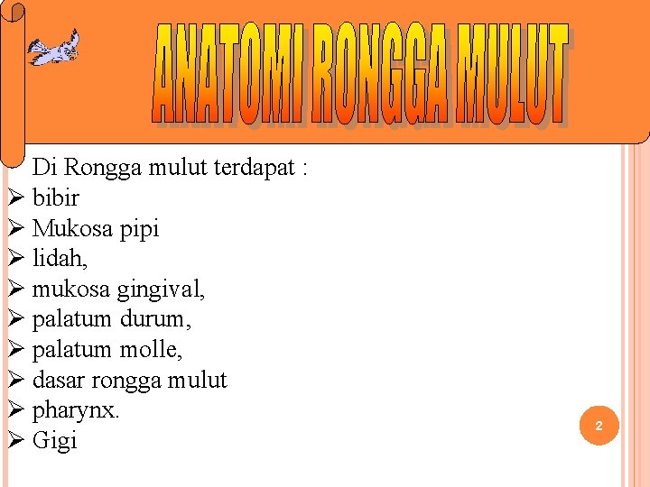 Di Rongga mulut terdapat : Ø bibir Ø Mukosa pipi Ø lidah, Ø mukosa Di Rongga mulut terdapat : Ø bibir Ø Mukosa pipi Ø lidah, Ø mukosa