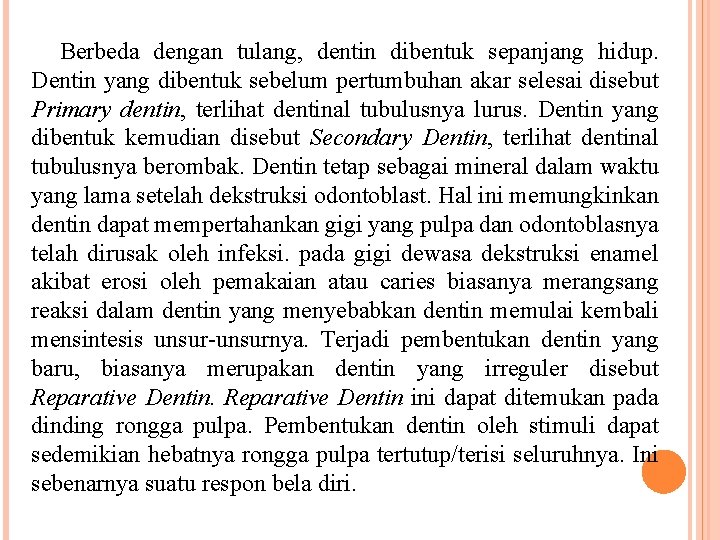 Berbeda dengan tulang, dentin dibentuk sepanjang hidup. Dentin yang dibentuk sebelum pertumbuhan akar selesai Berbeda dengan tulang, dentin dibentuk sepanjang hidup. Dentin yang dibentuk sebelum pertumbuhan akar selesai