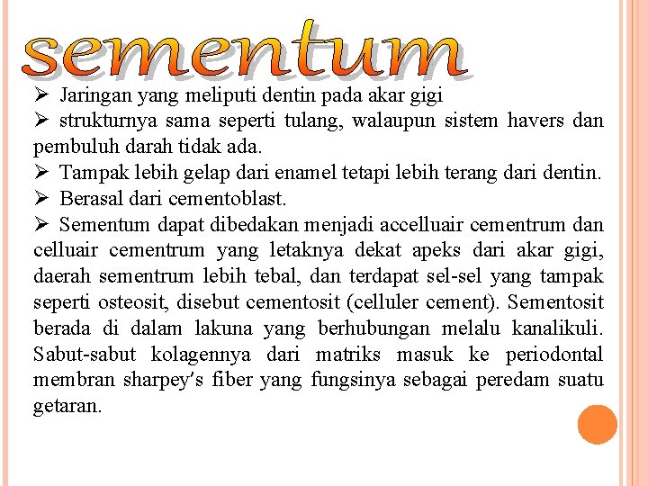 Ø Jaringan yang meliputi dentin pada akar gigi Ø strukturnya sama seperti tulang, walaupun Ø Jaringan yang meliputi dentin pada akar gigi Ø strukturnya sama seperti tulang, walaupun