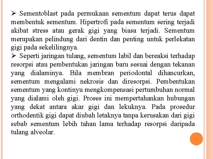 Ø Sementoblast pada permukaan sementum dapat terus dapat membentuk sementum. Hipertrofi pada sementum sering Ø Sementoblast pada permukaan sementum dapat terus dapat membentuk sementum. Hipertrofi pada sementum sering