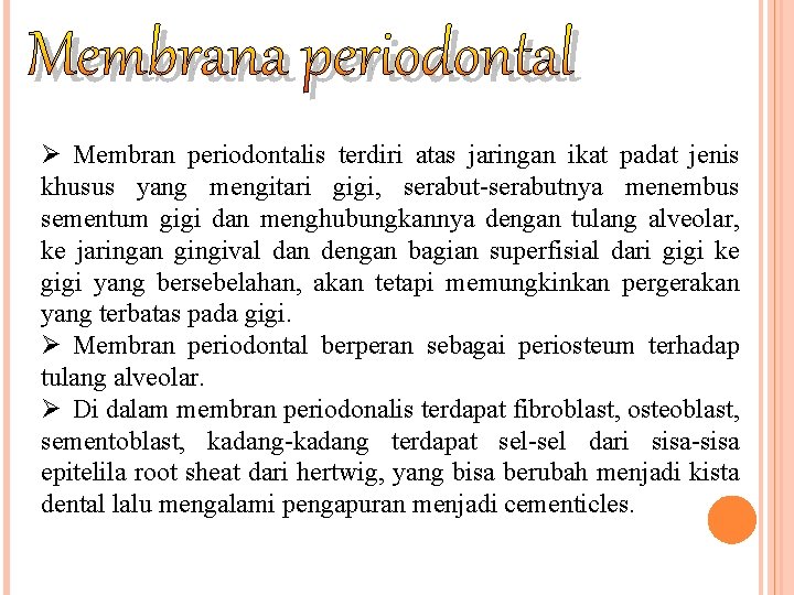 Ø Membran periodontalis terdiri atas jaringan ikat padat jenis khusus yang mengitari gigi, serabut-serabutnya Ø Membran periodontalis terdiri atas jaringan ikat padat jenis khusus yang mengitari gigi, serabut-serabutnya