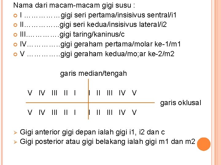 Nama dari macam-macam gigi susu : I ……………gigi seri pertama/insisivus sentral/i 1 II…………. . Nama dari macam-macam gigi susu : I ……………gigi seri pertama/insisivus sentral/i 1 II…………. .