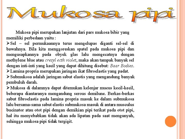 Mukosa pipi merupakan lanjutan dari pars mukosa bibir yang memiliki perbedaan yaitu : ØSel Mukosa pipi merupakan lanjutan dari pars mukosa bibir yang memiliki perbedaan yaitu : ØSel