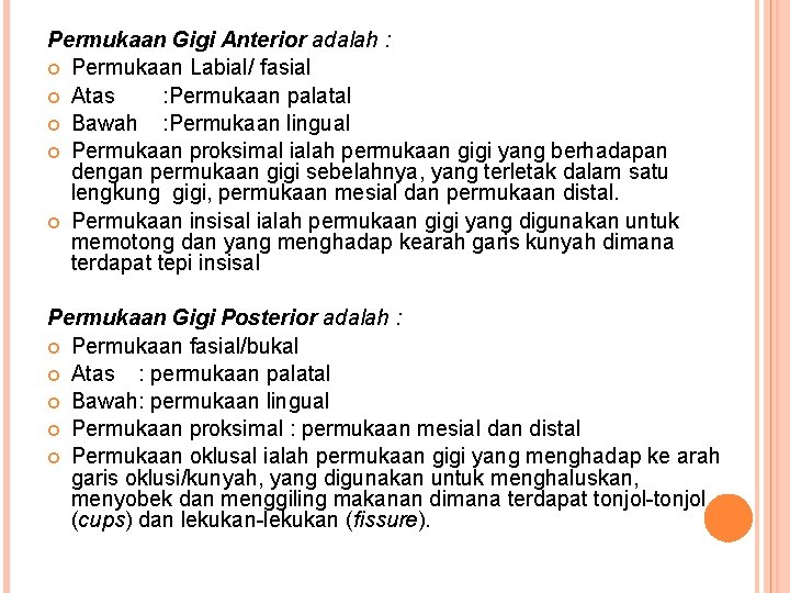Permukaan Gigi Anterior adalah : Permukaan Labial/ fasial Atas : Permukaan palatal Bawah : Permukaan Gigi Anterior adalah : Permukaan Labial/ fasial Atas : Permukaan palatal Bawah :