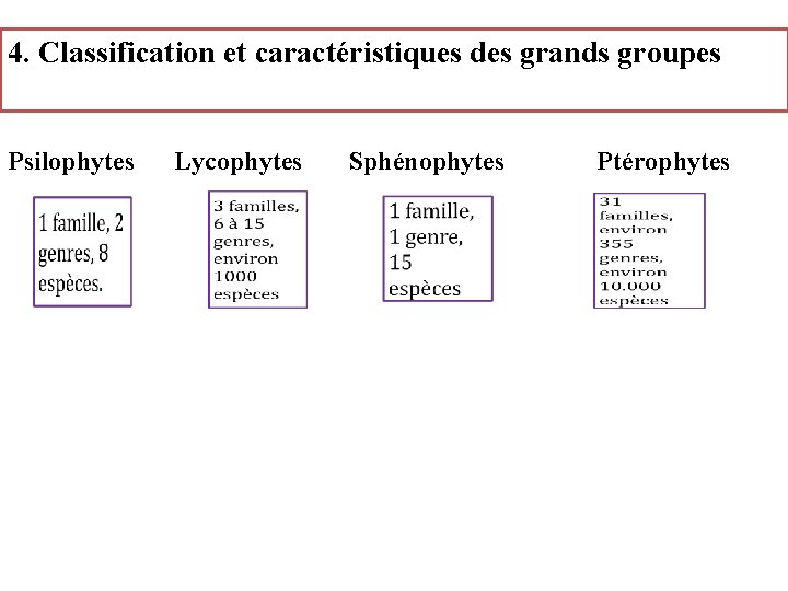 4. Classification et caractéristiques des grands groupes Psilophytes Lycophytes Sphénophytes Ptérophytes 
