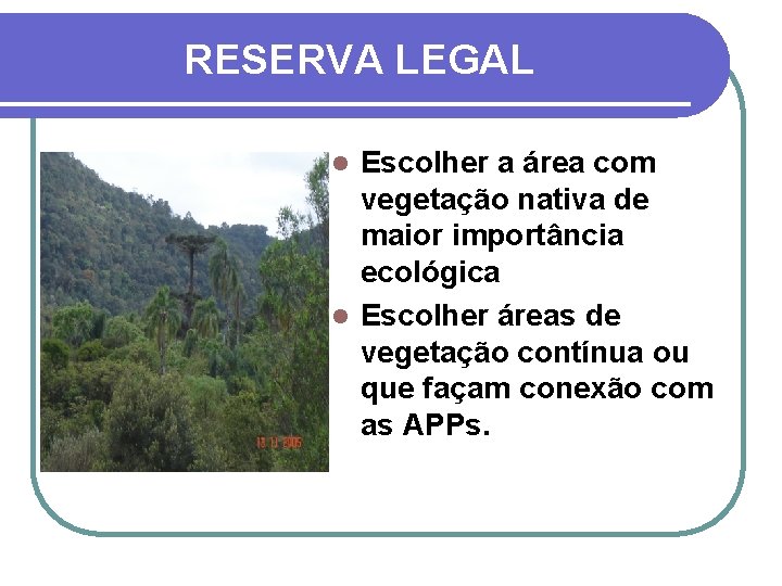 RESERVA LEGAL Escolher a área com vegetação nativa de maior importância ecológica l Escolher