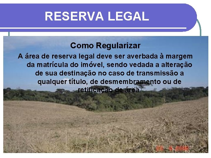 RESERVA LEGAL Como Regularizar A área de reserva legal deve ser averbada à margem