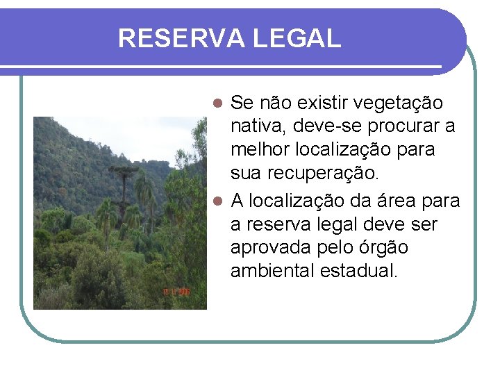 RESERVA LEGAL Se não existir vegetação nativa, deve-se procurar a melhor localização para sua