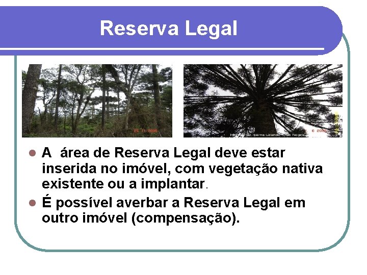 Reserva Legal A área de Reserva Legal deve estar inserida no imóvel, com vegetação