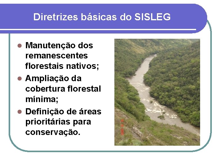 Diretrizes básicas do SISLEG Manutenção dos remanescentes florestais nativos; l Ampliação da cobertura florestal