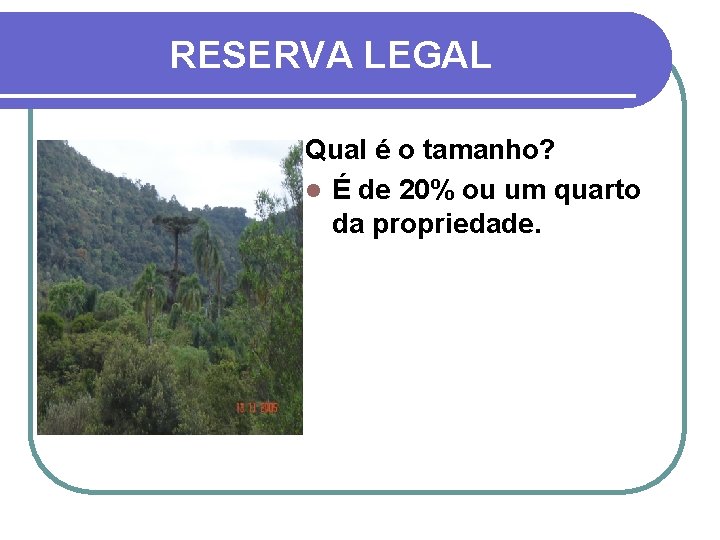 RESERVA LEGAL Qual é o tamanho? l É de 20% ou um quarto da