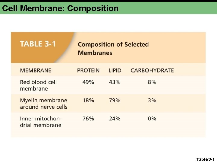 Cell Membrane: Composition Table 3 -1 